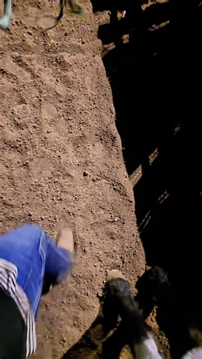 this is how you know you've made it in life 🤣 #insync #walkthisway #onbeat #densleyhorsetraining #horsesontiktok