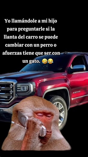Funny GMC Meme: Trocas Peronas Comedy Moments