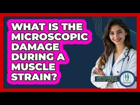 What Is The Microscopic Damage During A Muscle Strain? - Orthopedic Support Network