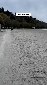 18K views · 341 reactions | Golden Gardens Park in Seattle, WA #seattle #seattlelife #goldengardens #seattlewashington #beachvibes #beachlife #seattleliving #pnwlife | Pinaykano Pinaykano | Facebook