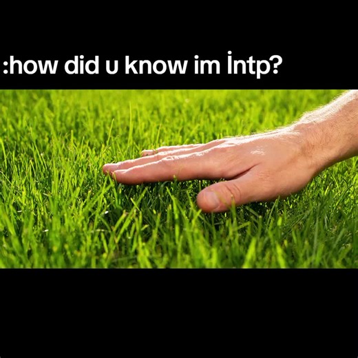 Understanding INTP Personalities in Depth