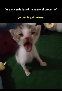 449K views · 15K reactions | iba a reirme pero esk me pasa | Yisucrist | Facebook