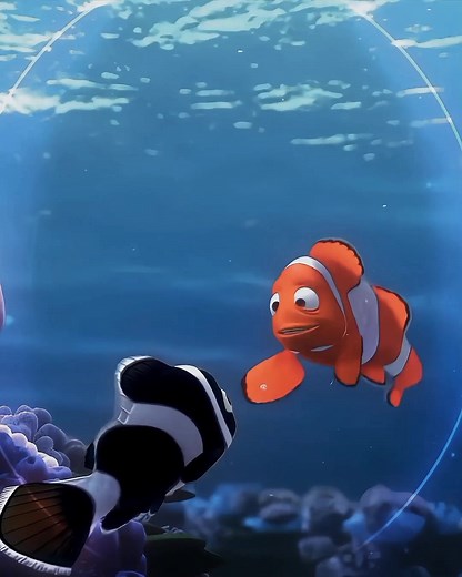 Discover the Unique Beauty of Black Clownfish in Nemo's World