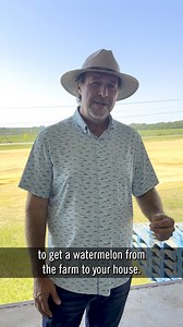 64K views · 325 reactions | It takes a village! Georgia grower Kyle Pless shares the effort it takes to bring watermelon from his farm to your table.  #Watermelon #GrowerSpotlight | Watermelon Board | Facebook