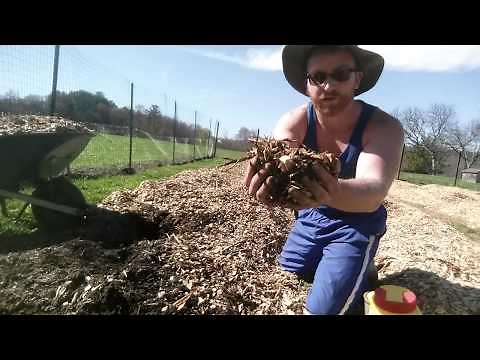 How to Mulch Blueberry Bushes