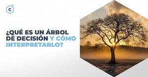 ¿Qué es un Árbol de Decisión y cómo interpretarlo?