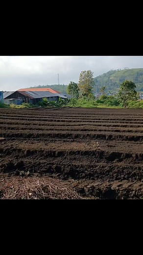 Mangulewa menuju PAROKI IKLIM @sorotan | Tana Watu Detukeli