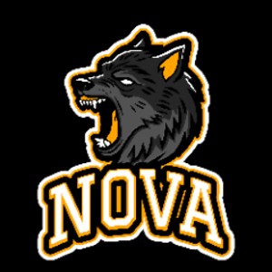 Gaming_With_Nova - Twitch