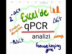 qPCR analizi nasıl yapılır? Excel üzerinde gösterim. Delta Ct | normalizasyon | housekeeping gene