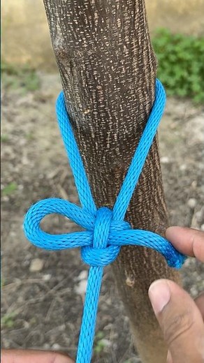 How To Tie A Around The Tree 🌲?
