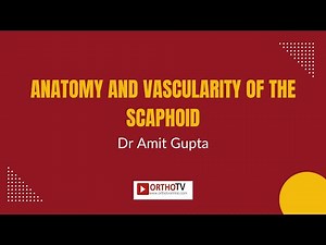 Dr Amit Gupta - Anatomy and Vascularity of the Scaphoid