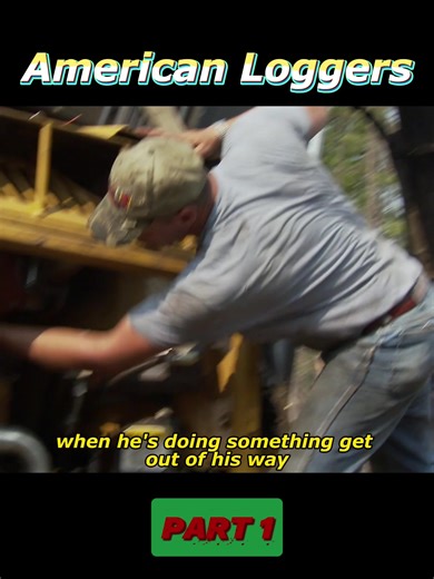 Exploring Logging Life: Heavy Machinery in Nature