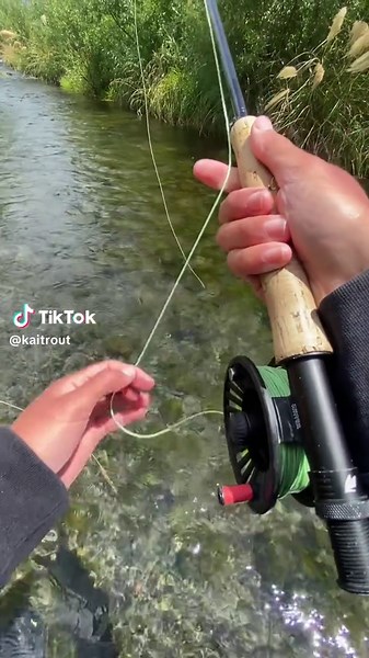 Big river, small stream. What an awesome colored jack trout. #troutfishing #flyfishing #fishing #trout