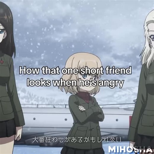 Girls und Panzer der Memes on Instagram: "Cre: @nonna_pilled"