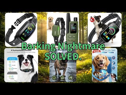 Stop Barking! Top 3 Dog Collars for Training & Quiet (Trusted Review)