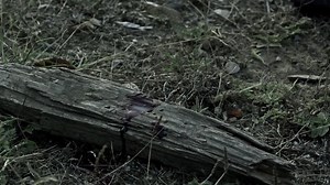 Zombie.Massacre.2.Reich.of.the.Dead.2015.1080p.BluRay.x264.YIFY