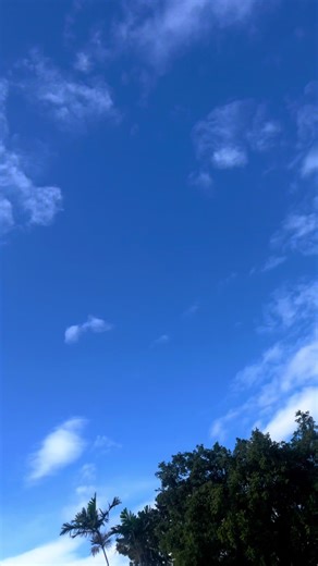 Fuchsia is Back: The Return of a Beloved Color