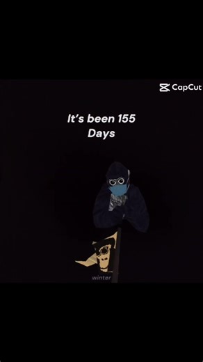 It’s been 155 days without him #gorillatag @Pgm-x9n @GWZVR-l4v #winter