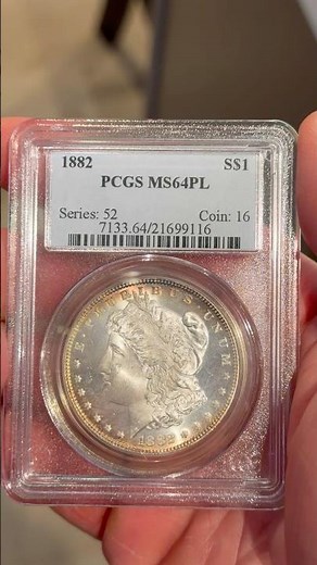 1882 PCGS MS64 PL Morgan Dollar! #reels #coin #viralvideo #collection #money #numismatics #reel