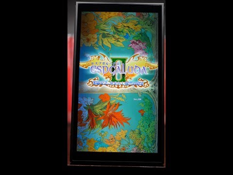 Espgaluda II - Nintendo Switch 2 TATE Mode