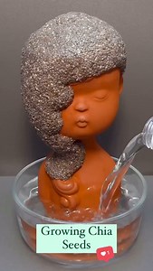 11K views · 8.9K reactions | Growing chia seeds 華 #growyourownfood #gardening #growyourown #garden #homegrown #organicgardening #vegetablegarden #organic #kitchengarden #gardenlife #ediblegarden #urbangarden #allotment #growwhatyoueat #vegetables #backyardgarden #veggiegarden #urbangardening #greenthumb #plants #zone #nature #harvest #allotmentlife #permaculture #eatwhatyougrow #sustainableliving #gardener #gardenersofinstagram #mygarden | One Green Planet | Facebook