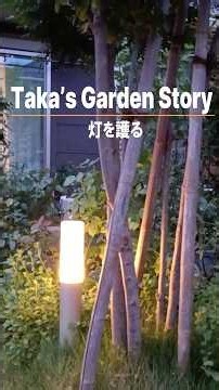 "Protecting the Light": Rose-Centered Garden Creation #Roses #Landscaping #Gardening