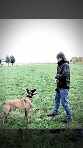 rust-“Jump” training day