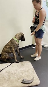 1.5M views · 3.5K reactions | Hi! It’s Anders!! Todane was my first...