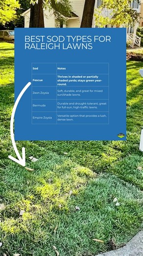 Best Sod Types for Lawns in Raleigh, NC