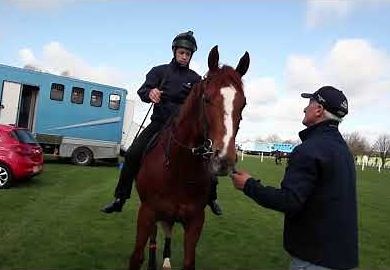 What is a breeze up sale for racehorses? Horse & Hound explains