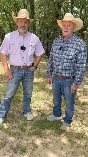 9.3K views · 149 reactions | 2024 AFCC Workshop: Save the Date! Join...