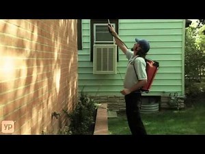 Longmont, CO, | Bugs & Beyond | Pest Control | Rodent Expert