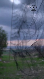 1.7K views · 29 reactions | This weekend marks the beginning of one...