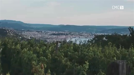 [Throwback 🔙] Uhvati ritam vikenda uz Parni Valjak 💃🎶 | CMC - Croatian Music Channel