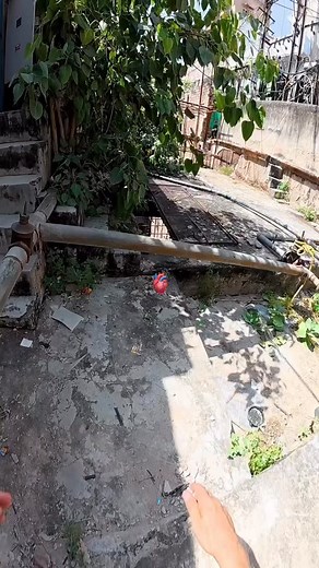 Our time starts NOW 🫀🚀🔥 Follow and manifest now‼️ - - - - - #rich #luxury #lifestyle #motivation | Evovalue