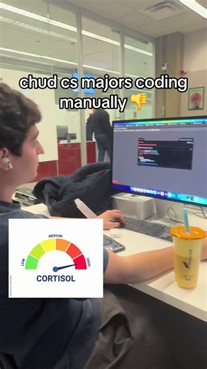 Based cs major vibe coding | coding