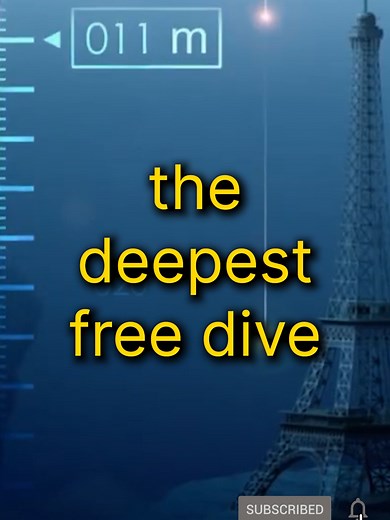 Herbert Nitsch's Record-Breaking Freedive Explained