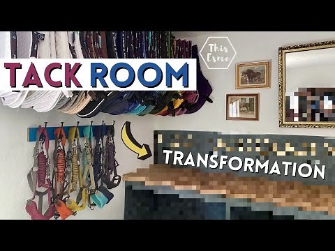 Tack Room Organising! Stable Renovation | This Esme