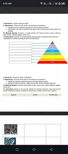 Activity No.1 Human Taxonomic RankObjective(s):Categorize h... | Filo