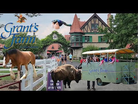 Grant's Farm Tour | Fun For The Whole Family!