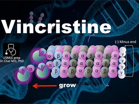Vincristine Vinblastine; Mechanism of action ⑥