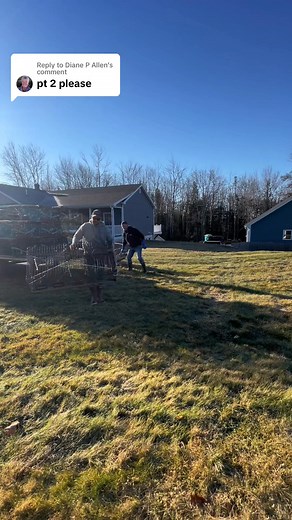 Replying to P Allen Lobster Trap Christmas Tree Build! Part 2 #christmastree #lobster | Blake Haass