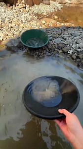 47K views · 599 reactions | Found a Gold Nugget While Prospecting! ✨ While gold prospecting, I found a real gold nugget in the creek. Amazing moment for every prospector. #GoldProspecting #GoldNugget #GoldHunting #PanningForGold #CreekGold #GoldDiscovery | Gold Hunt with A.rehman | Facebook