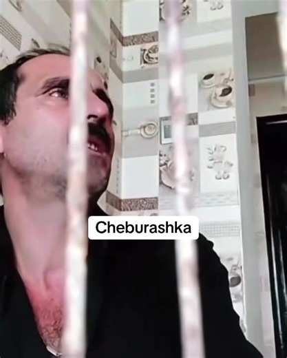 cheburashka_cheburashka (@cheburashka_cheburashka)’s videos with orijinal səs - cheburashka_cheburashka