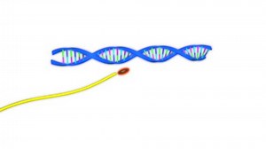 Rna Polymerase Stock Footage Video (100% Royalty-free) 7241659 | Shutterstock