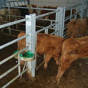 Adjustable Pipe Creep Gate - O' Donovan Engineering gates