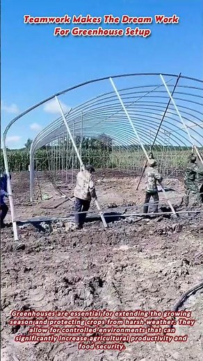 Teamwork Makes The Dream Work For Greenhouse Setup