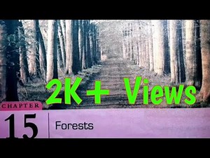 ||Forests Full Explanation||DAV Class 7 Science Ch-15 Full Explanation||CBSE||Collection Of Study||