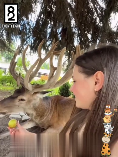 #TwentyEight | Twenty Eight