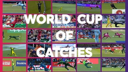 4.1M views · 135K reactions | A lookback at the best catches from CWC19 ✊勞 Which one is your favourite? | ICC - International Cricket Council | Facebook